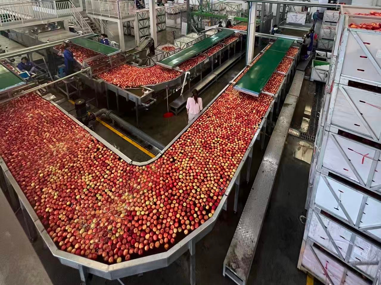 毕节海关助力“阳光小甜心”走向世界